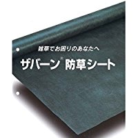 ザバーン350 ザバーン350