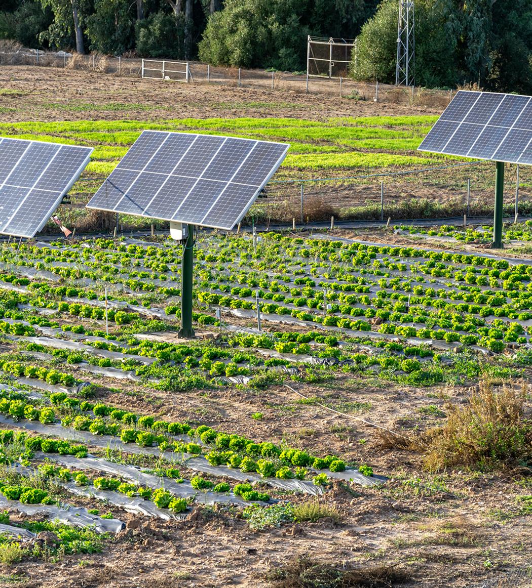 ソーラーシェアリングとは？
