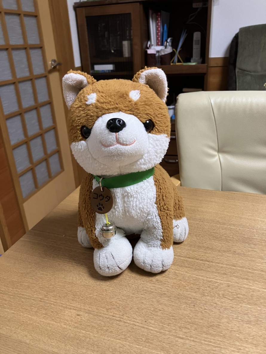 ペットとおしゃべり?