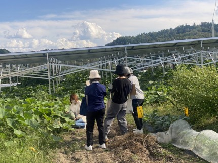 ソーラーシェリング　万次郎かぼちゃ　飯田市　株式会社リックス
