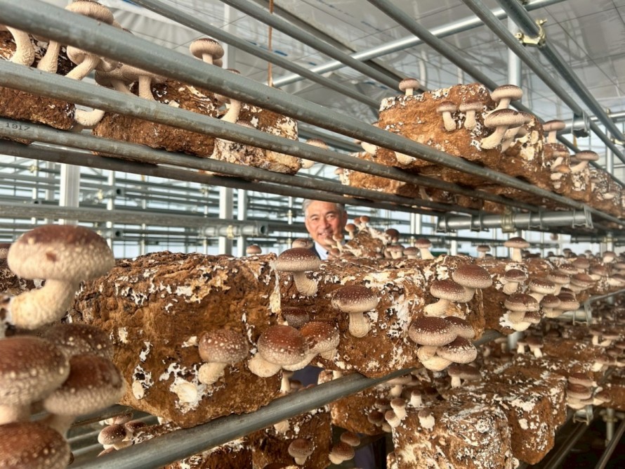 飯田市　株式会社リックス　ソーラーシェアリング