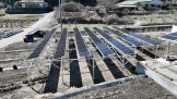 ソーラーシェアリング　南信州　飯田市　リックス　万次郎かぼちゃ