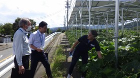 ソーラーシェアリング　南信州　飯田市　リックス　万次郎かぼちゃ　ブルーベリー　菌床シイタケ