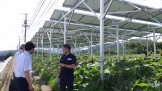 ソーラーシェアリング　南信州　飯田市　リックス　万次郎かぼちゃ　ブルーベリー　菌床シイタケ