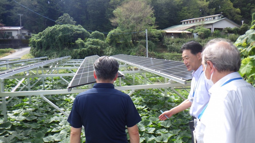 ソーラーシェアリング　南信州　飯田市　リックス　万次郎かぼちゃ　ブルーベリー　菌床シイタケ