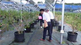 ソーラーシェリング　農林水産省関東農政局長野県拠点地方参事官　飯田市　株式会社リックス