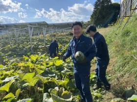 ソーラーシェアリング　飯田市　株式会社リックス　万次郎かぼちゃ