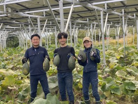 ソーラーシェアリング　飯田市　株式会社リックス　万次郎かぼちゃ