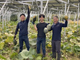 ソーラーシェアリング　飯田市　株式会社リックス　万次郎かぼちゃ