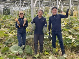 ソーラーシェアリング　飯田市　株式会社リックス　万次郎かぼちゃ