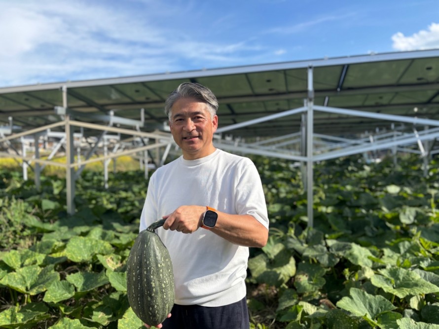 ソーラーシェリング　万次郎かぼちゃ　飯田市　株式会社リックス